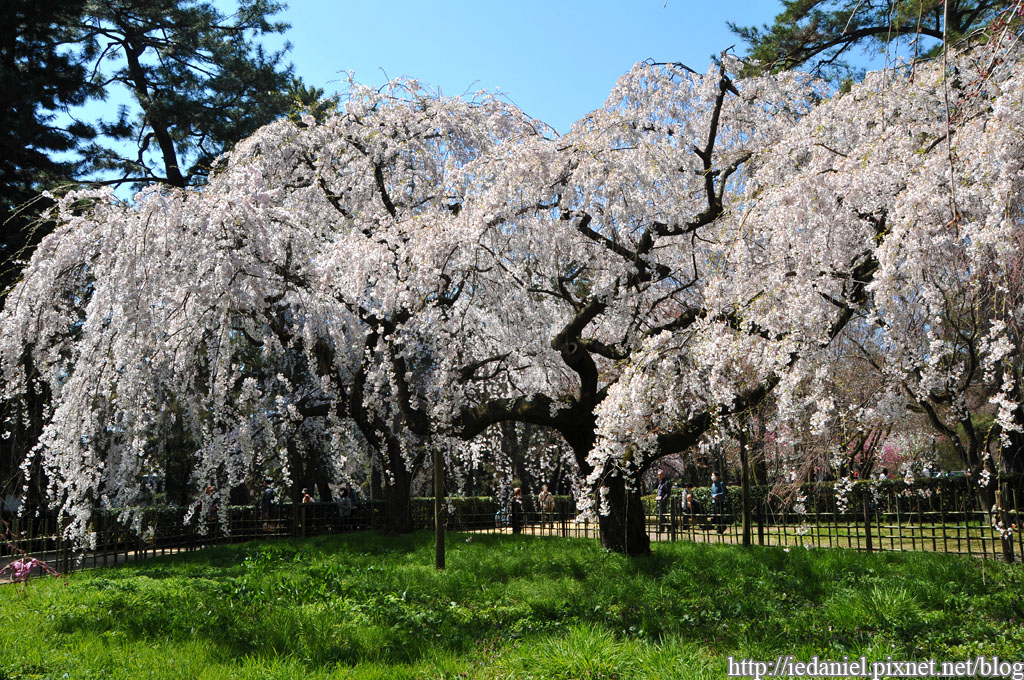 DSC_1982.jpg DSC_1982.jpg