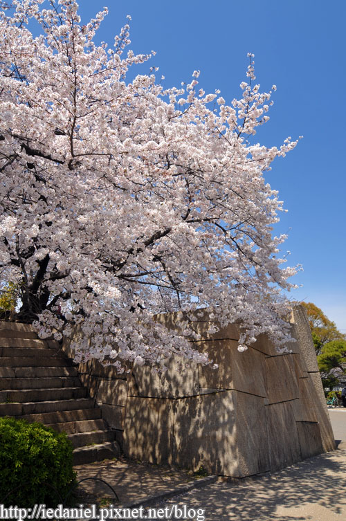 DSC_2866.jpg DSC_2866.jpg