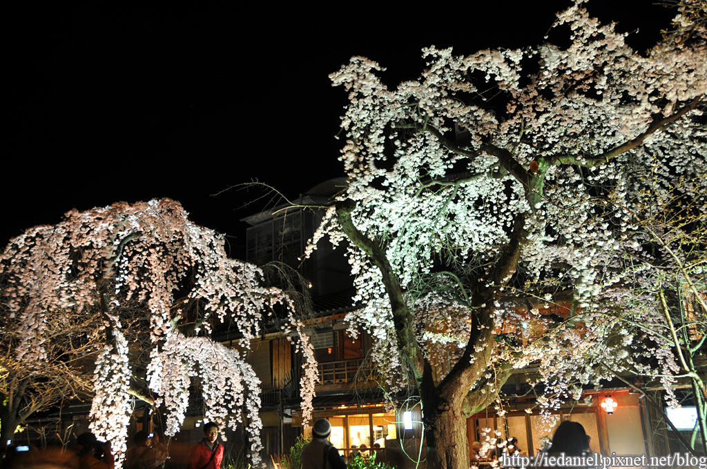 DSC_1903.jpg DSC_1903.jpg