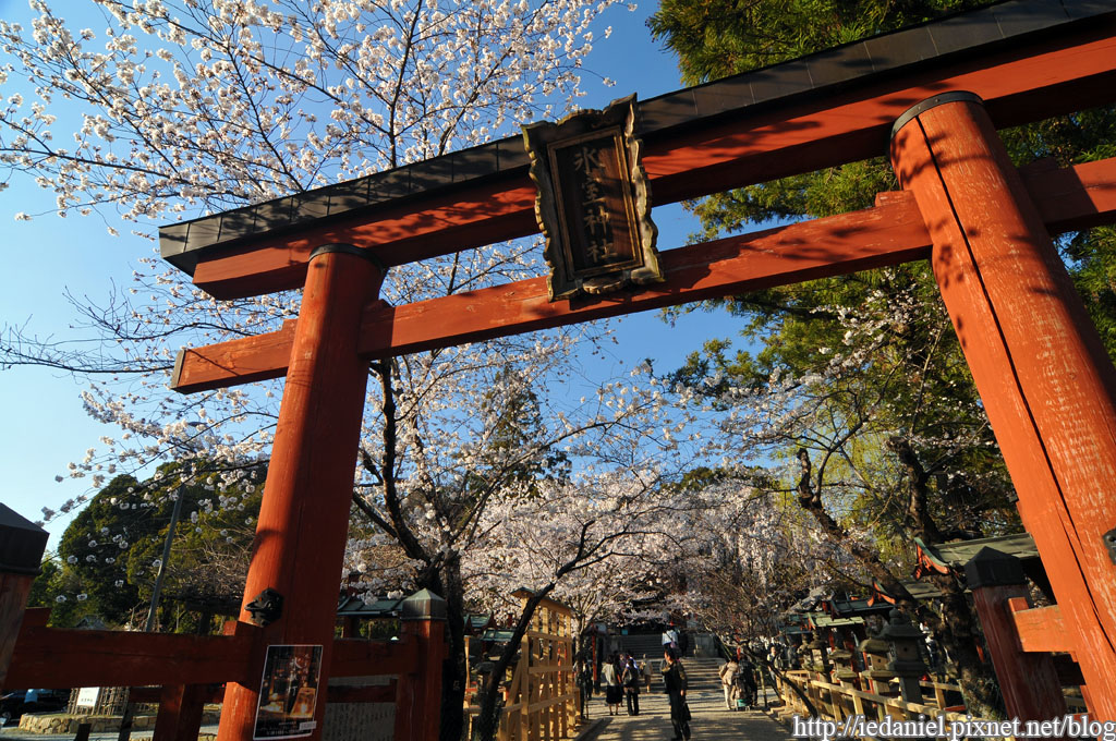 DSC_2233.jpg DSC_2233.jpg