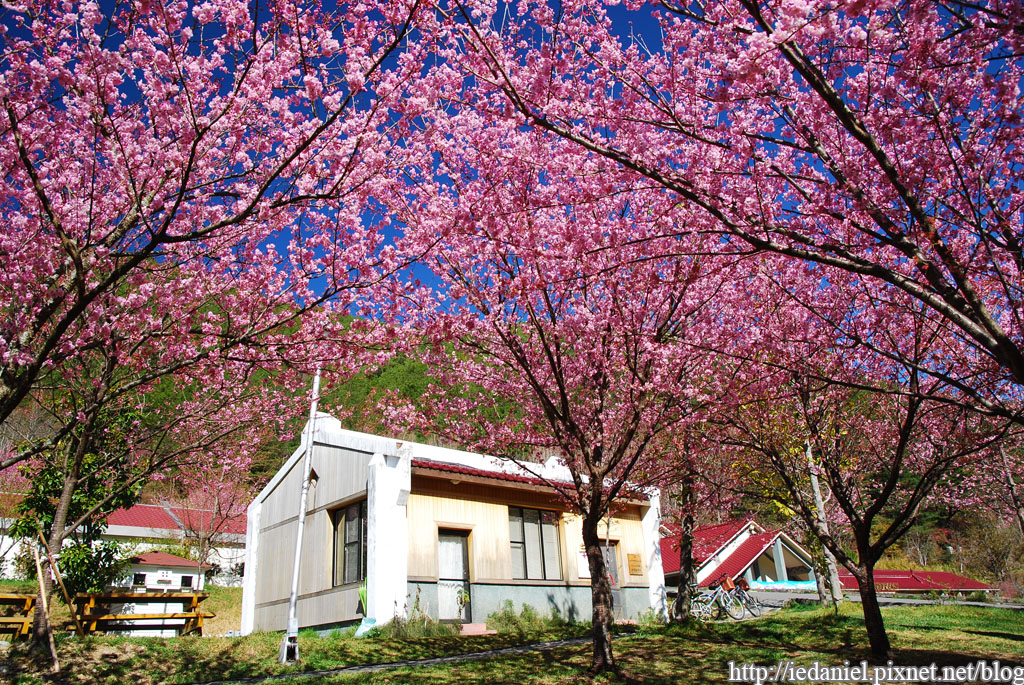 DSC_0205.jpg DSC_0205.jpg