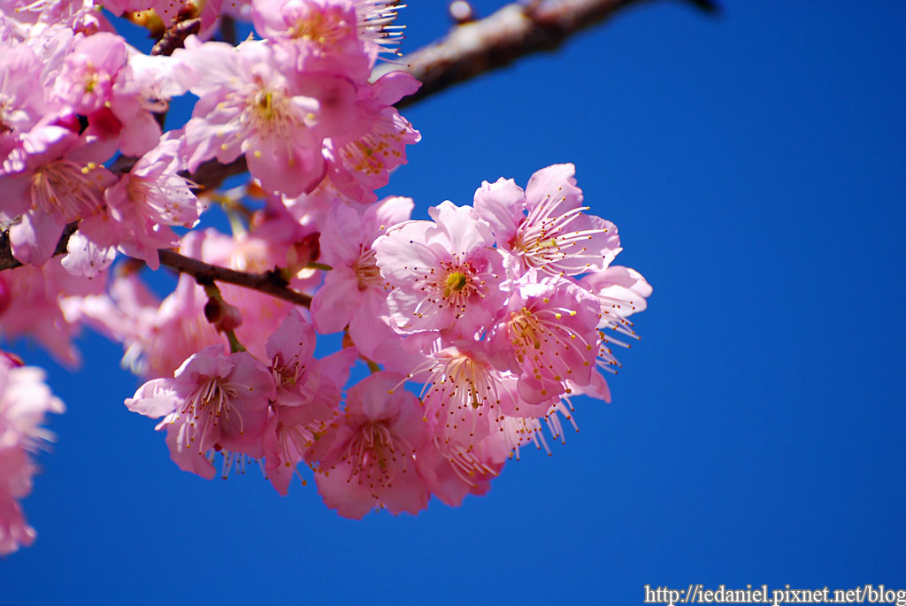 DSC_0337.jpg DSC_0337.jpg