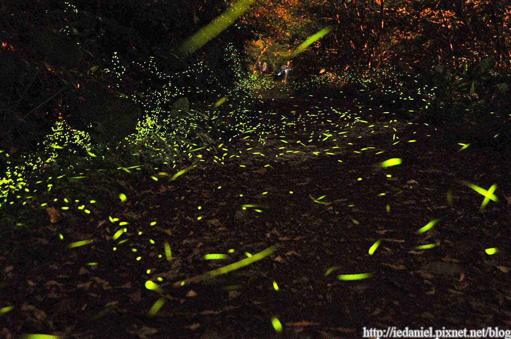 DSC_3414.jpg DSC_3414.jpg