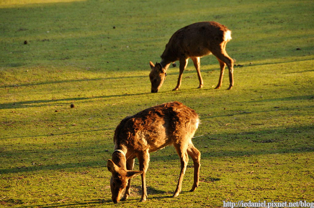 DSC_2316.jpg DSC_2316.jpg