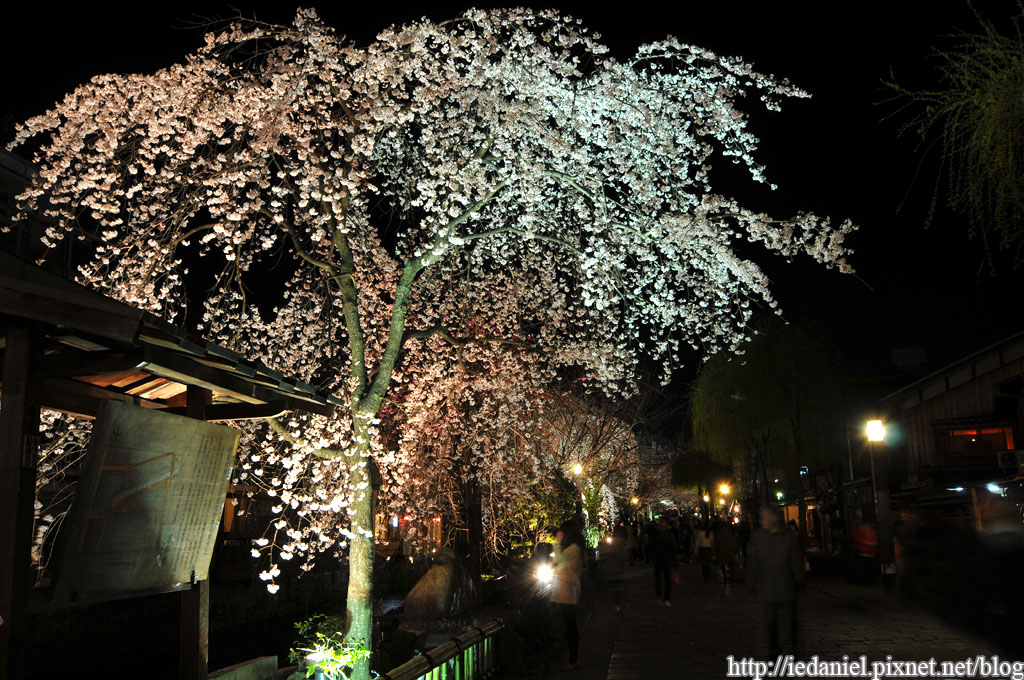 DSC_1842.jpg DSC_1842.jpg