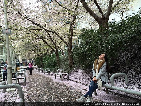 11066101_10205760365865915_432818791_o 11066101_10205760365865915_432818791_o