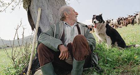 le-quattro-volte.jpg le-quattro-volte.jpg