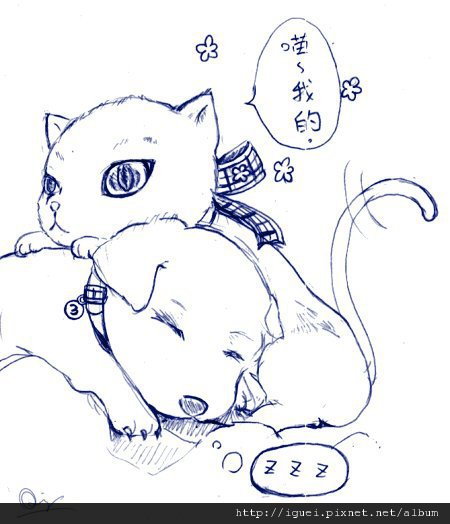 貓狗 貓狗