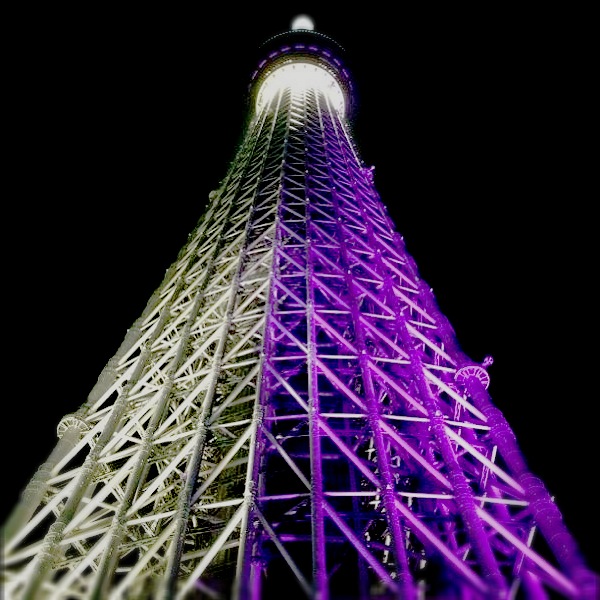 skytree紫 skytree紫