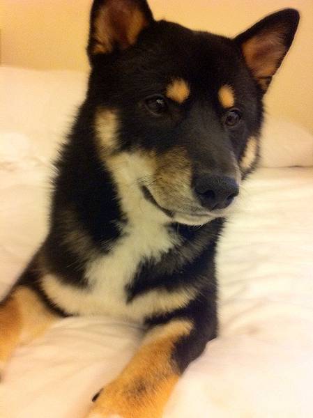 9ef22d0.jpg 9ef22d0.jpg