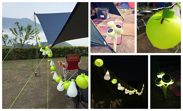 PicMonkey Collage2 PicMonkey Collage2