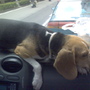 DSC00024.JPG DSC00024.JPG