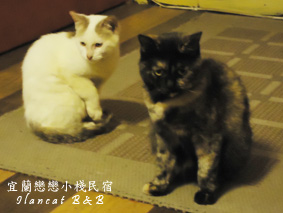 情人節3.jpg 情人節3.jpg