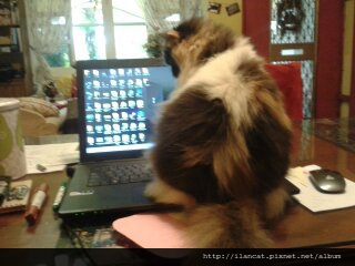 1387954144190 1387954144190