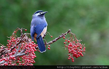 AYgkDk8_1GAdiAyQdo9Q9g