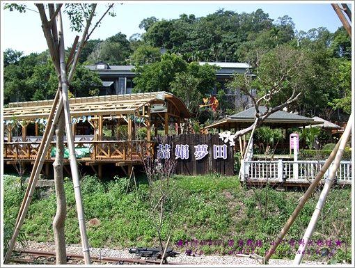 龍騰舊山線鐵道過去的後面全都是喆娟夢田 龍騰舊山線鐵道過去的後面全都是喆娟夢田