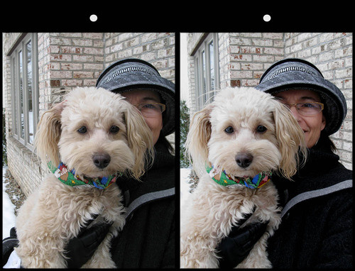 500x_robertandersonstereogram.jpg 500x_robertandersonstereogram.jpg