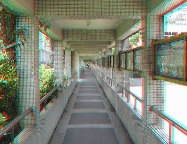 nccu_campus_3d_01 nccu_campus_3d_01