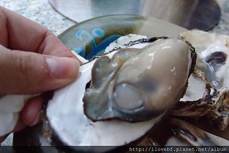 P7278288.JPG P7278288.JPG