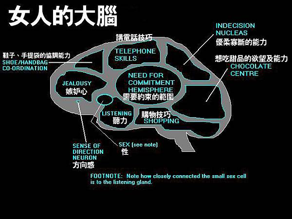 iLover愛情人 女人的腦