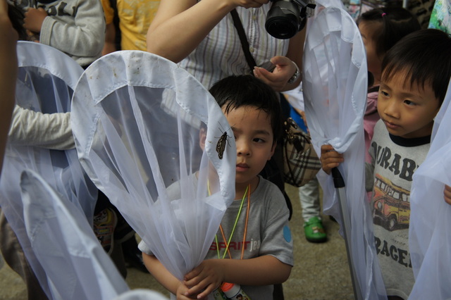 DSC03558 DSC03558