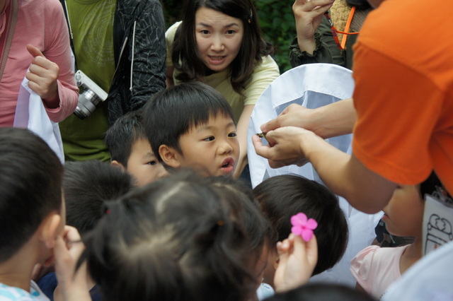 DSC03591 DSC03591