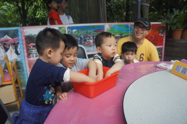 DSC03723 DSC03723