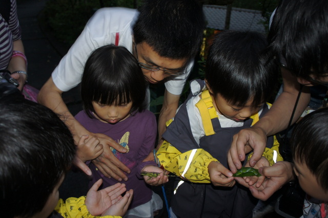 DSC03780 DSC03780
