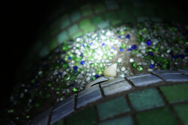 DSC03816 DSC03816