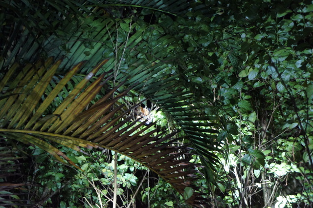 DSC03835 DSC03835