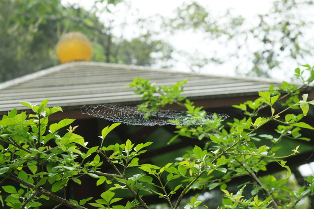 DSC03850 DSC03850