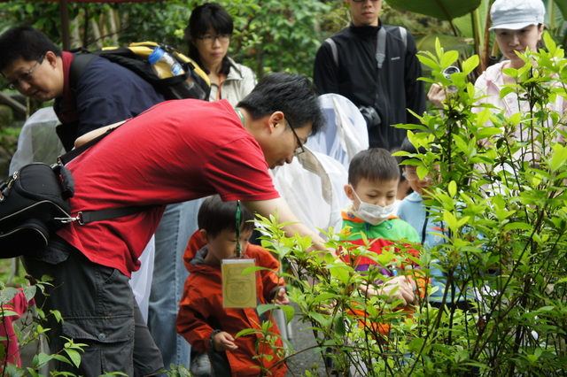 DSC03856 DSC03856