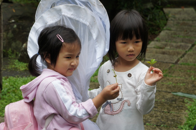 DSC03874 DSC03874