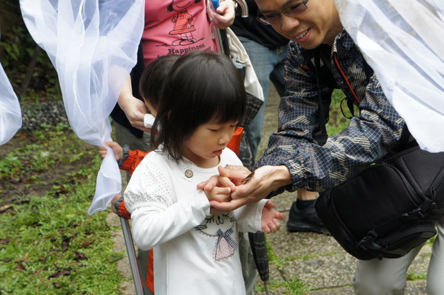 DSC03955 DSC03955