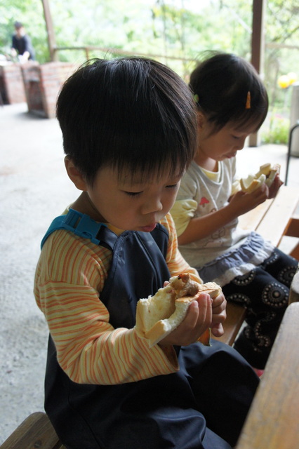 DSC04252 DSC04252