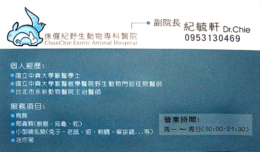 很照顧毛毛的紀醫師名片