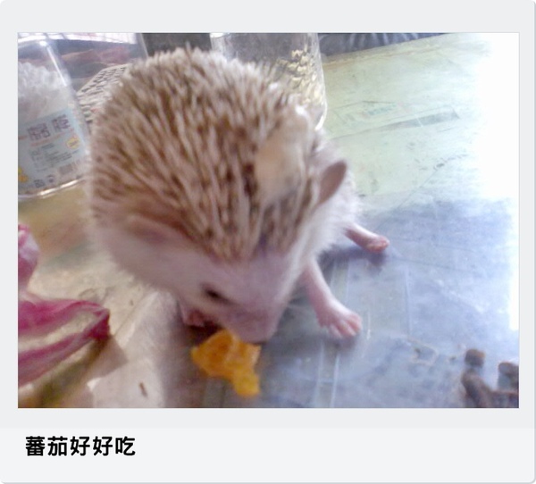 影像000.jpg 影像000.jpg