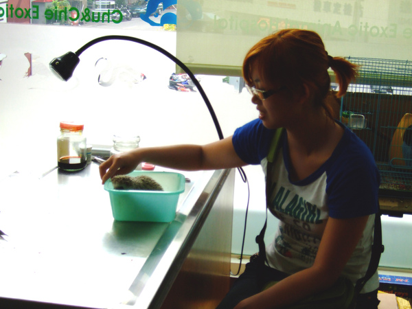 大花媽有點擔心