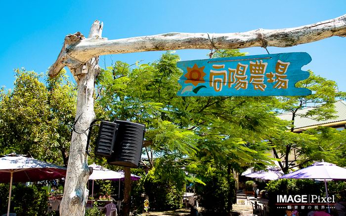 向陽農場 (32).jpg