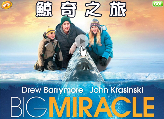 【鯨奇之旅海報│巨大奇迹海报big miracle poster】