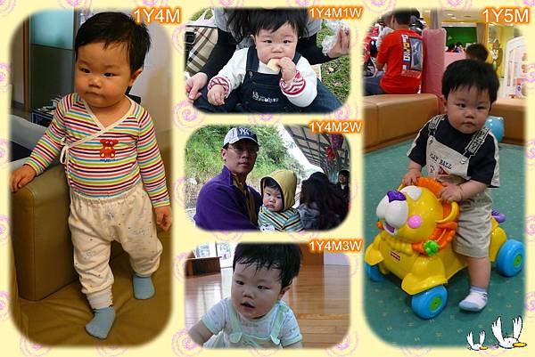1y4m~1y5m