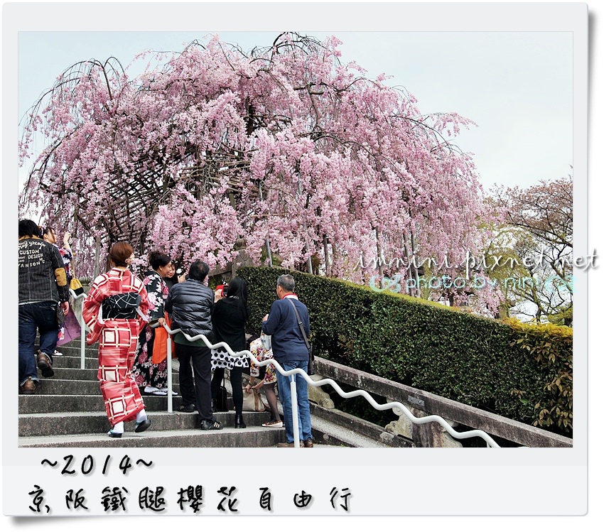 P4105644.JPG P4105644.JPG