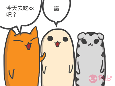 內置圖片 6