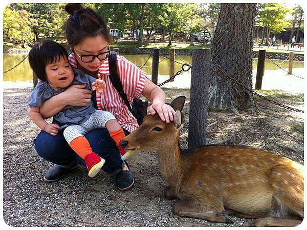 15東大寺鹿10_我一摸她她頭就靠過來了.JPG