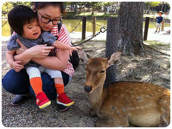 17東大寺鹿11_小惡魔.JPG