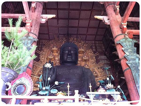 29東大寺大佛殿2.JPG