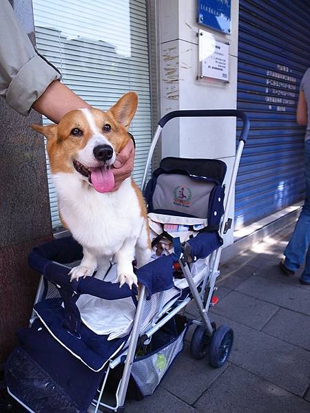 20100731-01恩孺 20100731-01恩孺