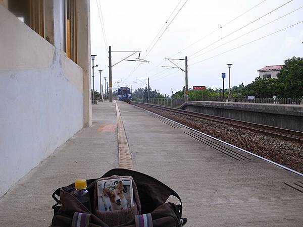 20140805-01龍港 20140805-01龍港