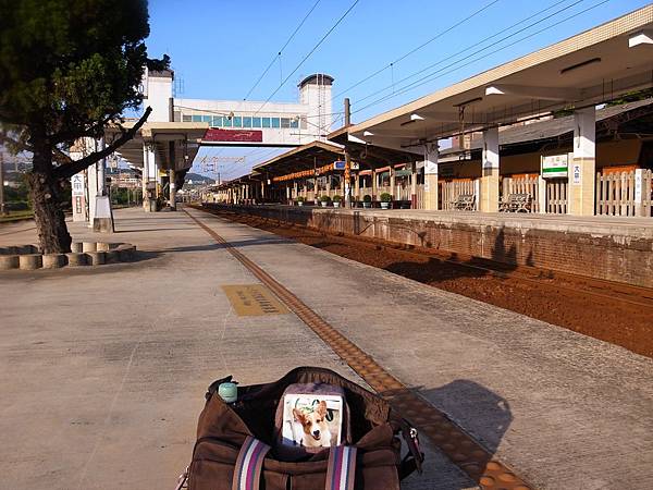 20140815-01大甲 20140815-01大甲