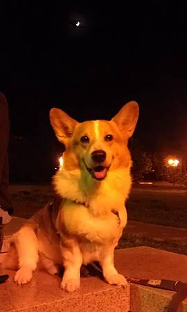 可飛在南寮 可飛在南寮